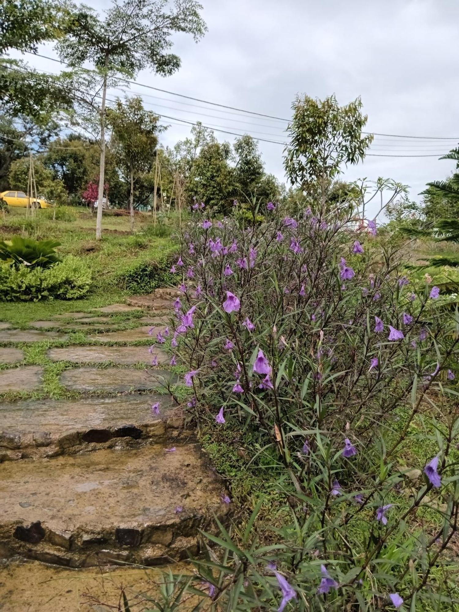 Country Lodge At Eco Valley Retreat Tawau Buitenkant foto