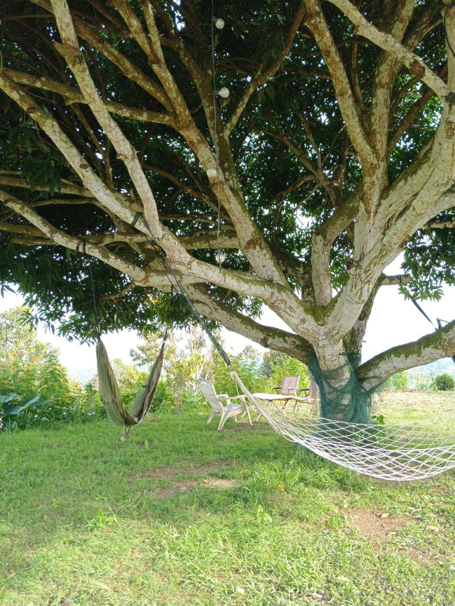 Country Lodge At Eco Valley Retreat Tawau Buitenkant foto